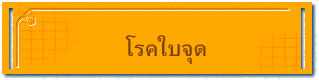 โรคใบจุด