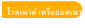 โรคเน่าดำหรือยอดเน่า