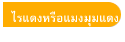ไรแดงหรือแมงมุมแดง