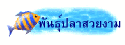 พันธุ์ปลาสวยงาม