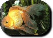 img1.jpg