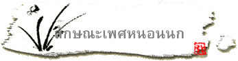 ลักษณะเพศหนอนนก