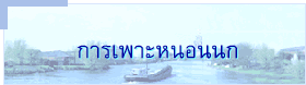 การเพาะหนอนนก